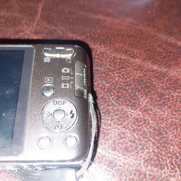 Sony Cyber-Shot DSC-W570 16.1 MP Digital Still Camera with Carl Zeiss Vario-Tess - Picture 10 of 12